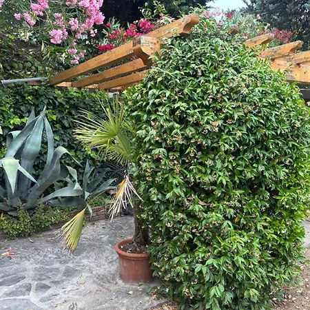 Villa Delle Agavi Costermano sul Garda